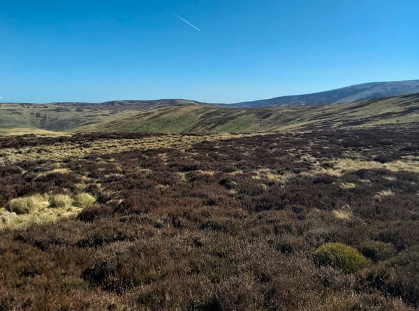 Blackhaggs Rigg