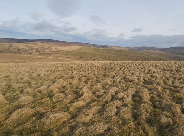 Carlcroft Hill