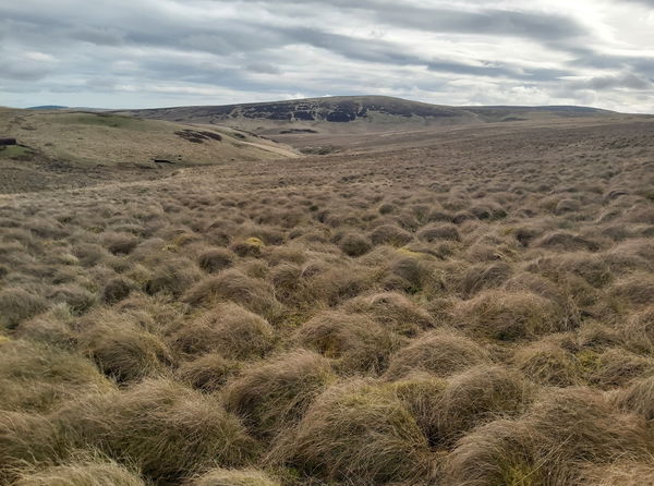 Deel's Hill