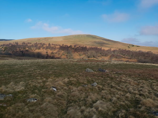Dod Hill