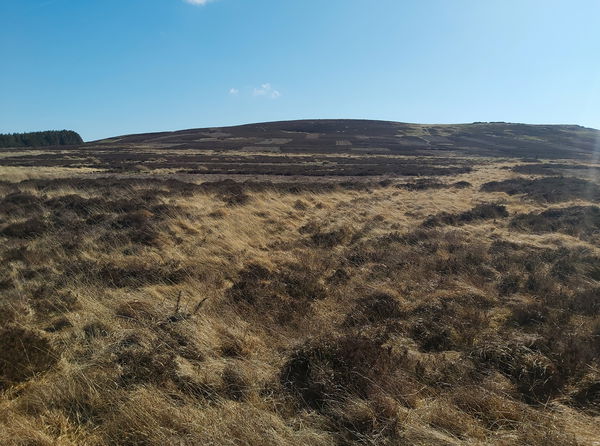 Hart Heugh