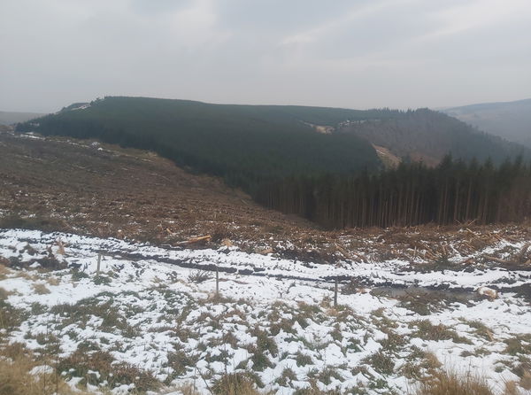 Inner Hill