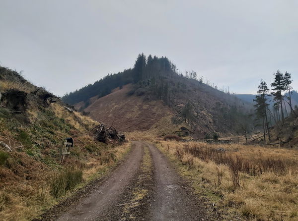 Sneer Hill