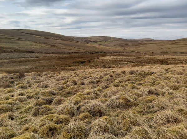 Wedder Hill