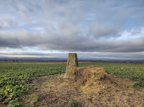 High Moorsley Trig Point