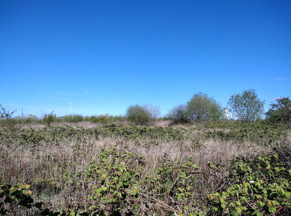 Holme House Farm Trig Point