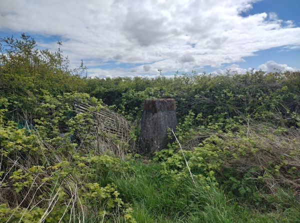 Reddings Hill Trig Point