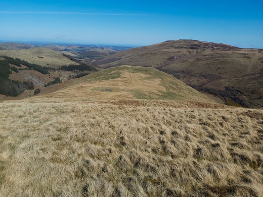 Blackhaggs Rigg Fort