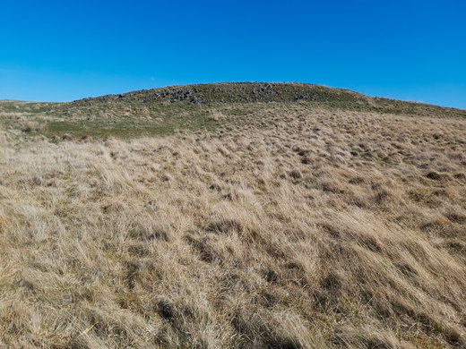 Blackhaggs Rigg Fort