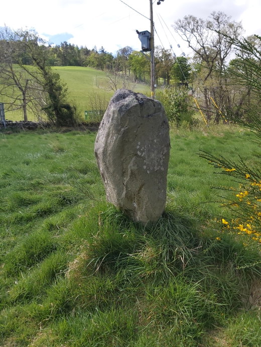 Cardrona Standing Stone