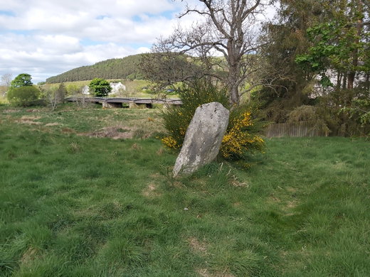 Cardrona Standing Stone