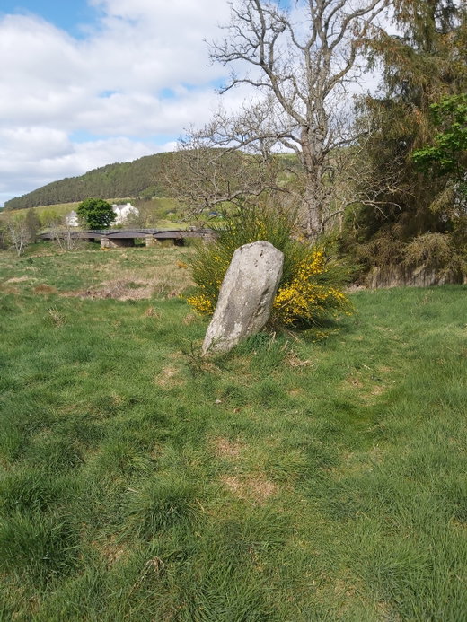 Cardrona Standing Stone