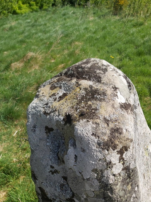 Cardrona Standing Stone