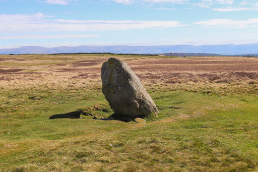 Cop Stone