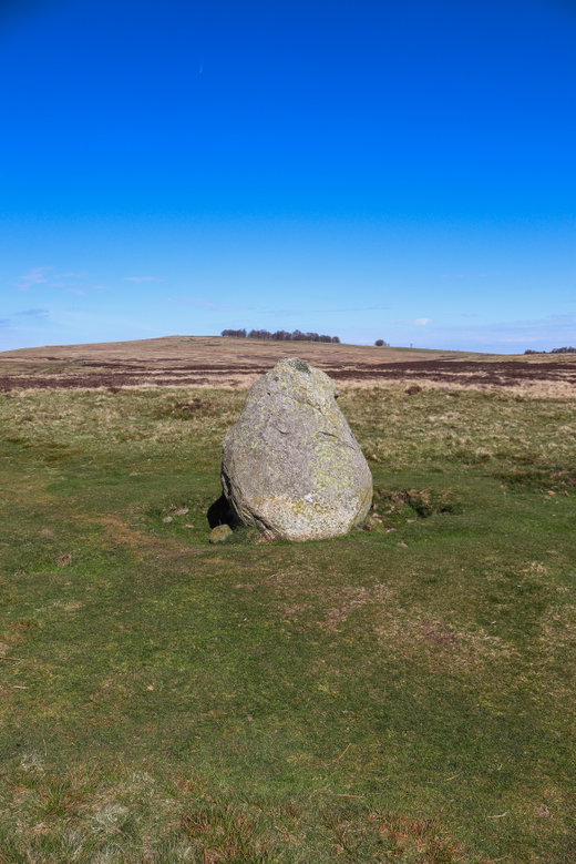 Cop Stone