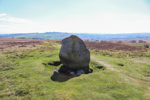 Cop Stone