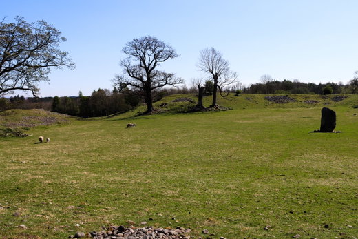Mayburgh Henge