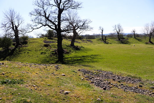 Mayburgh Henge