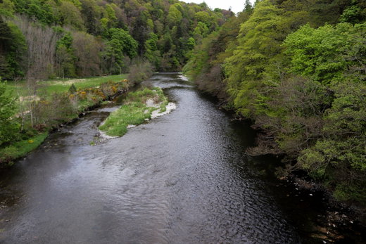 Neidpath Viaduct