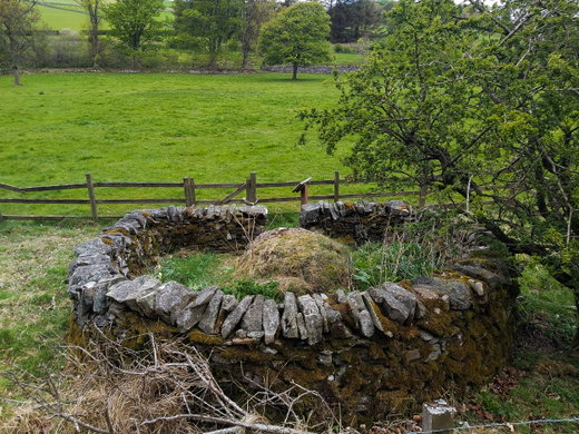 Our Lady's Well Stow
