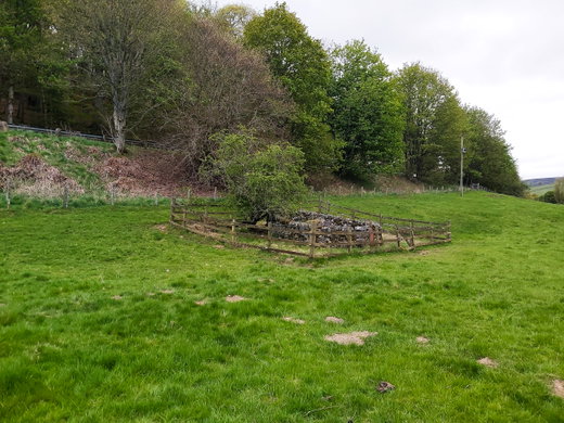 Our Lady's Well Stow
