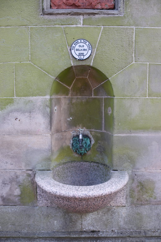 Selkirk Pant Well