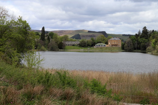 The Haining