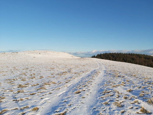 Ring Chesters Hillfort