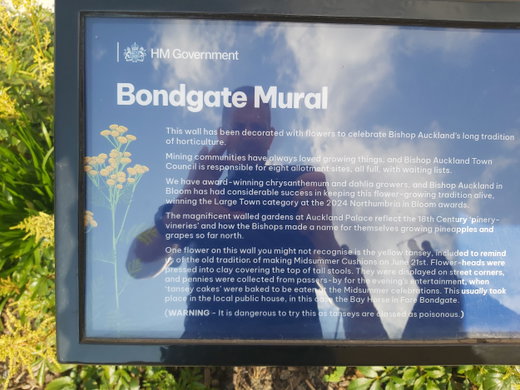 Bondgate Mural