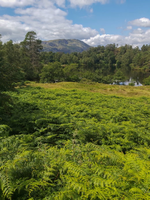 Claife Viewing Station