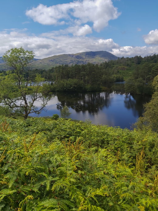 Claife Viewing Station