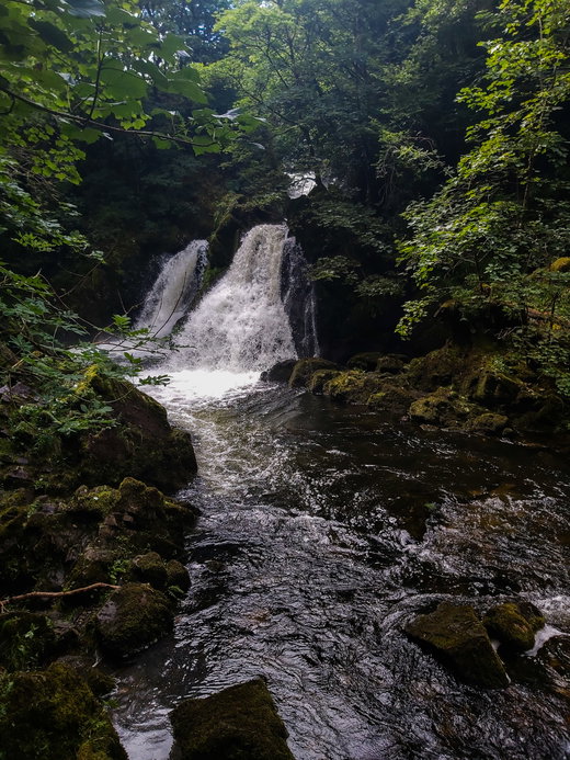 Colwith Force