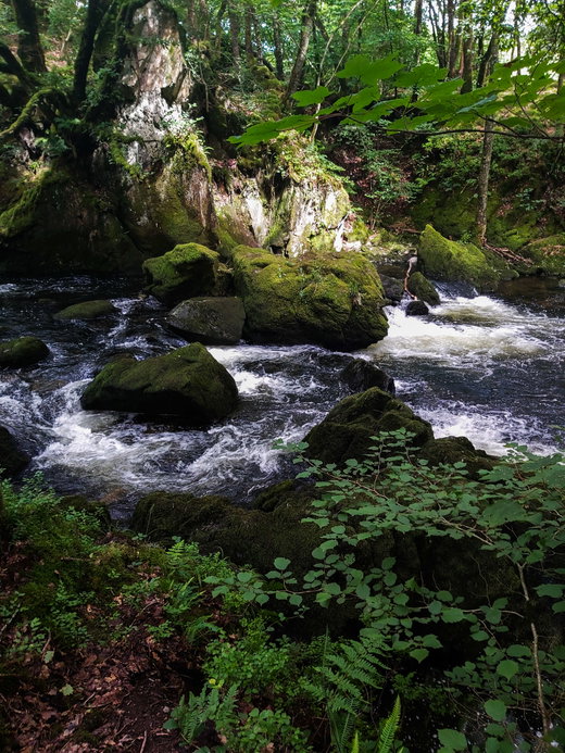 Colwith Force