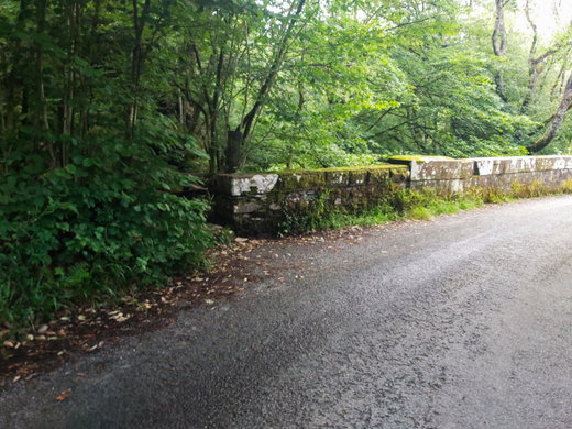 Colwith Force