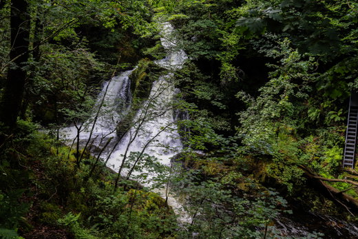 Colwith Force