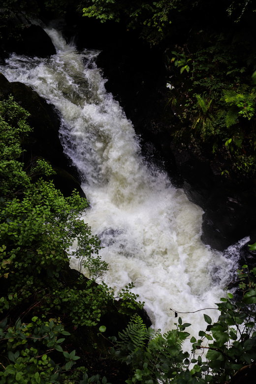 Colwith Force