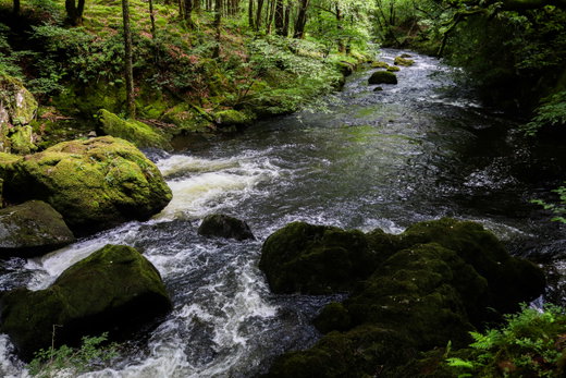 Colwith Force