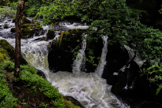 Colwith Force
