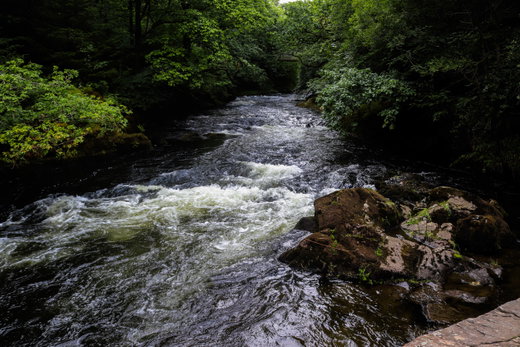 Colwith Force