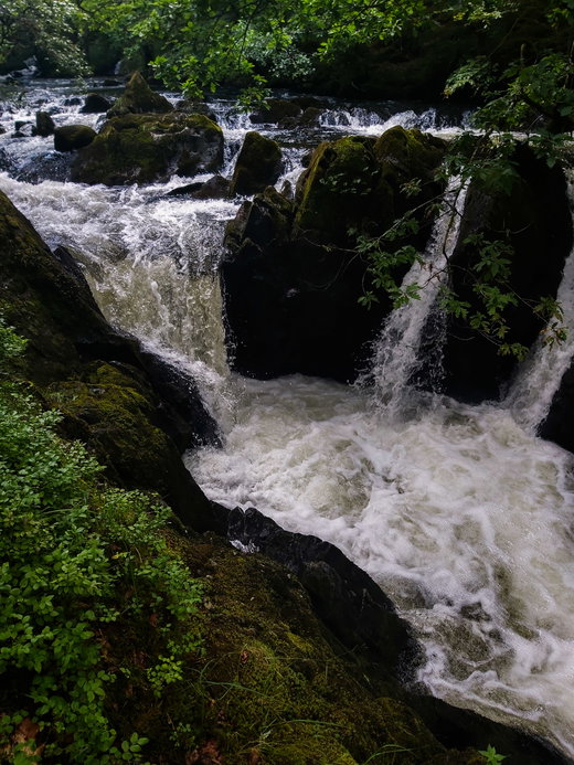 Colwith Force