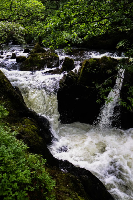 Colwith Force