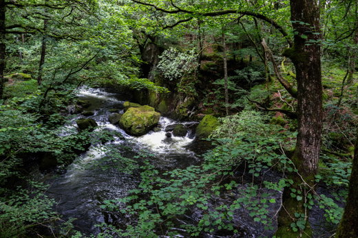 Colwith Force