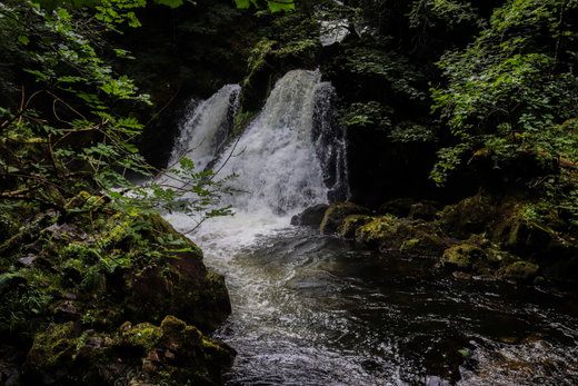 Colwith Force