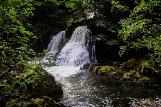 Colwith Force