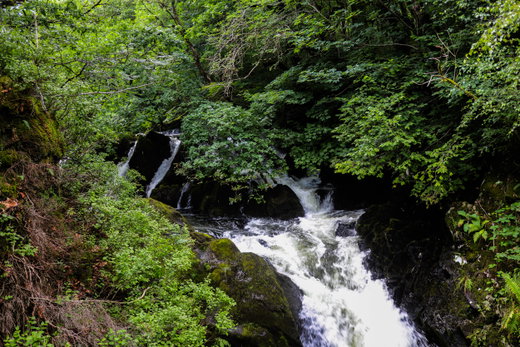 Colwith Force