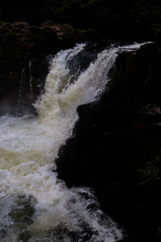 Colwith Force