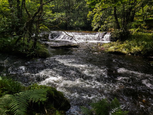 Colwith Force