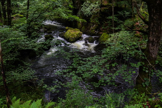 Colwith Force