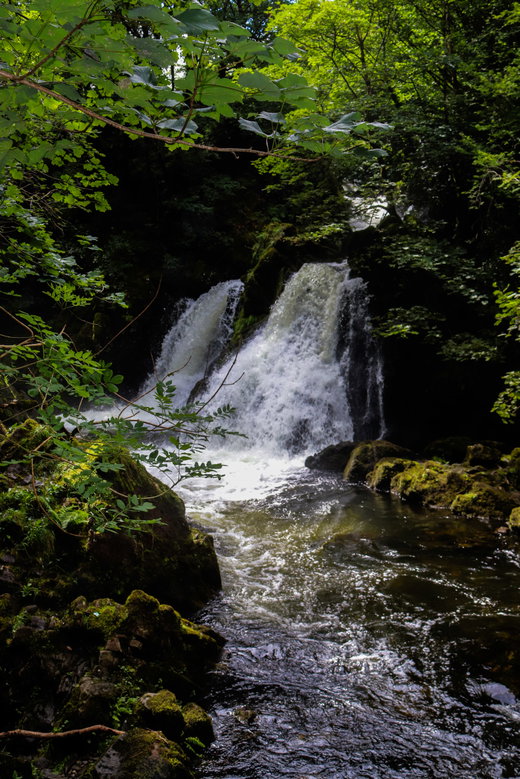 Colwith Force