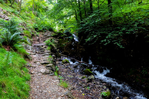 Tom Gill Waterfall